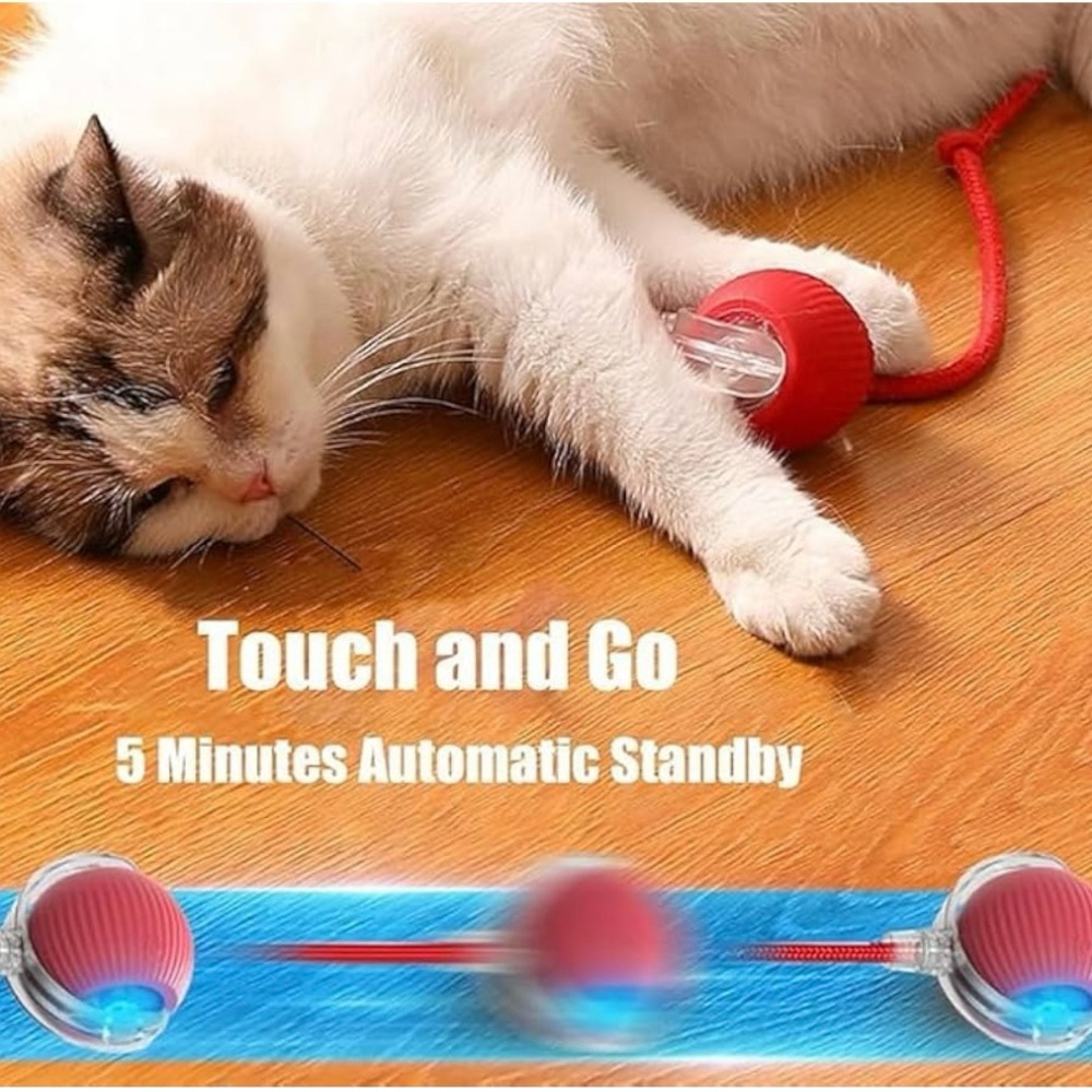 Interactive Red Cat Toy with String - Picture 9 of 10